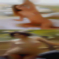 Transsexual casual encounters