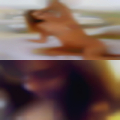 Looking for squirting pussy